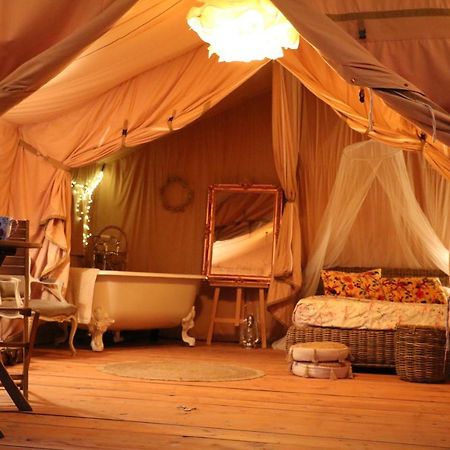 Les Toiles de La Tortillère Marcay  Extérieur photo