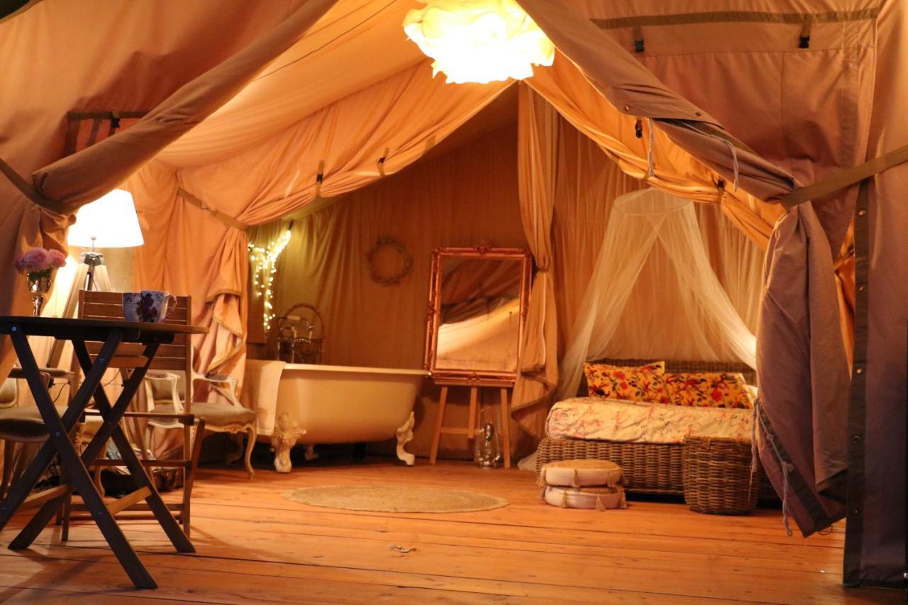 Les Toiles de La Tortillère Marcay  Extérieur photo